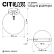 Светильник Citilux ORTON CL202512