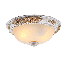 Потолочный светильник Arte Lamp Torta A7101PL-2WG