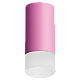 Накладной светильник Lightstar Rullo R43231 (214432+202431)