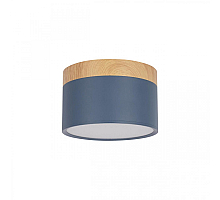 Накладной светильник Loft IT Grape 10162 Blue