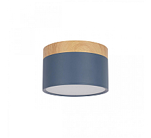 Накладной светильник Loft IT Grape 10162 Blue