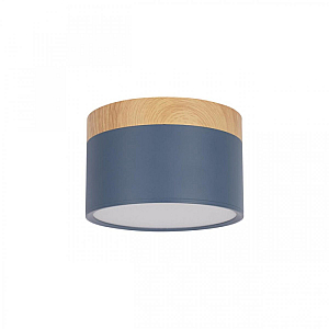Накладной светильник Loft IT Grape 10162 Blue