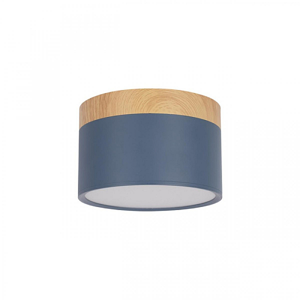 Накладной светодиодный светильник Loft IT Grape 10162 Blue