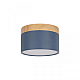 Накладной светодиодный светильник Loft IT Grape 10162 Blue