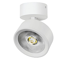 Накладной светильникAlta Pro Lightstar A5646SO