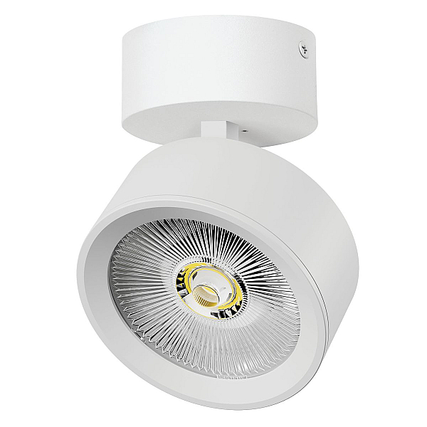 Накладной светильникAlta Pro Lightstar A5646SO
