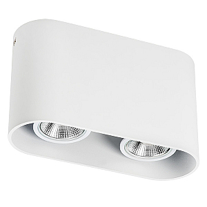 Накладной светильник Lightstar Rullo 214866