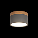 Накладной светодиодный светильник Loft IT Grape 10162 Grey