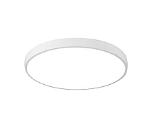 Потолочный светодиодный светильник Arte Lamp Arena A2671PL-1WH