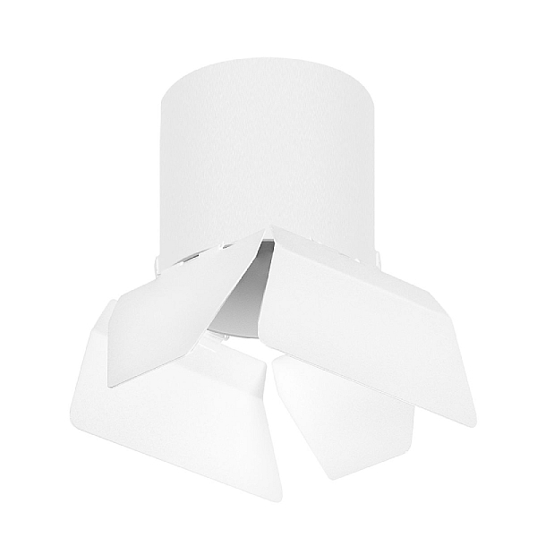 Накладной светильник Lightstar Rullo (213486+202486) R3486486