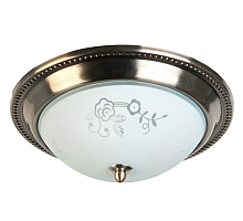 Накладной светильник Toplight Molly TL5020Y-02AB