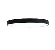 Потолочный светильник Zortes Tortty ZRS.02563.120