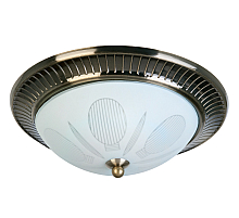 Накладной светильник Toplight Fae TL5060Y-02AB