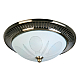 Накладной светильник Toplight Fae TL5060Y-02AB