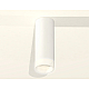 Потолочный светильник Ambrella Light Techno Spot XS6342043 (C6342, N6248)