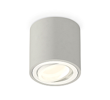 Потолочный светильник Ambrella Light Techno Spot XS7533001 (C7533, N7001)