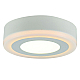 Потолочный светодиодный светильник Arte Lamp Antares A7806PL-2WH