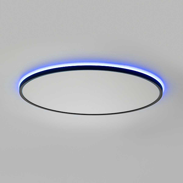Потолочный светильник Citilux NORMA CL749601