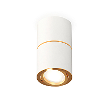 Потолочный светильник Ambrella Light Techno Spot XS7401200 (C7401, A2072, C7401, N7004)