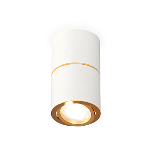 Потолочный светильник Ambrella Light Techno Spot XS7401200 (C7401, A2072, C7401, N7004)
