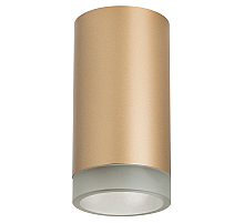 Накладной светильник Lightstar Rullo R44030 (214440+202430)
