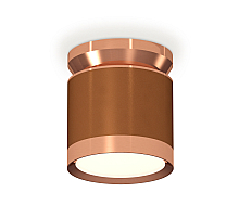 Потолочный светильник Ambrella Light Techno Spot XS8117010 (N8912, C8117, N8126)