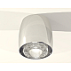Потолочный светильник Ambrella Light Techno Spot XS1143010 (C1143, N7191)