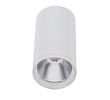 Накладной светильник Kink Light Фабио 08570-10,01