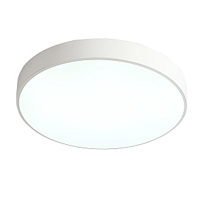 Потолочный светильник Zortes Tortty ZRS.02564.48
