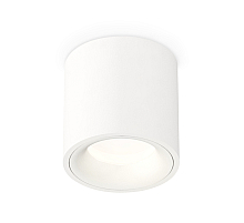 Потолочный светильник Ambrella Light Techno Spot XS7531020 (C7531, N7010)