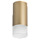 Накладной светильник Lightstar Rullo R44031 (214440+202431)