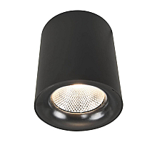 Потолочный светодиодный светильник Arte Lamp Facile A5118PL-1BK