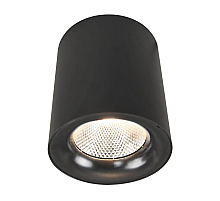 Потолочный светодиодный светильник Arte Lamp Facile A5118PL-1BK
