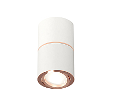 Потолочный светильник Ambrella Light Techno Spot XS7401220 (C7401, A2073, C7401, N7005)