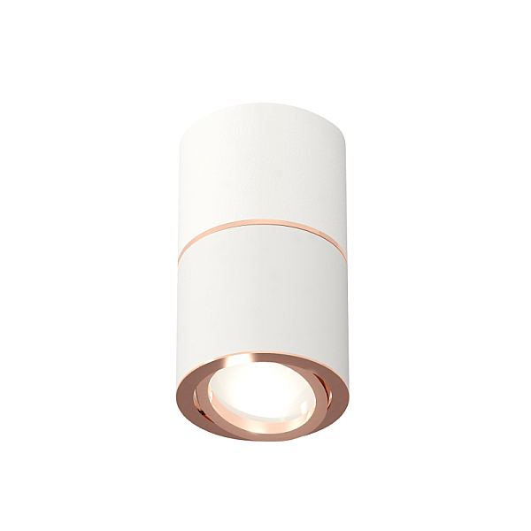 Потолочный светильник Ambrella Light Techno Spot XS7401220 (C7401, A2073, C7401, N7005)