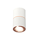 Потолочный светильник Ambrella Light Techno Spot XS7401220 (C7401, A2073, C7401, N7005)