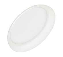 Накладной светодиодный светильник Arlight CL-FIOKK-R300-25W Day4000-MIX 034467