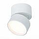 Светодиодный спот ST Luce ST651.532.09