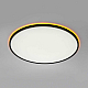 Потолочный светильник Citilux NORMA CL749601