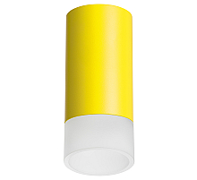 Накладной светильник Lightstar Rullo R43331 (214433+202431)