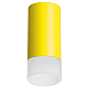 Накладной светильник Lightstar Rullo R43331 (214433+202431)