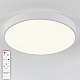 Потолочный светодиодный светильник Natali Kovaltseva LED LAMPS 81112/5C
