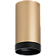 Накладной светильник Lightstar Rullo R440437 (214440+203437)