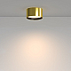Потолочный светильник Maytoni Technical C091CL-12W3K-BS