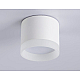 Накладной светильник Ambrella Light Acrylic Frost TN5365