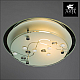 Потолочный светильник Arte Lamp A4890PL-1CC