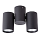 Накладной светильник ARTE Lamp A1511PL-2BK