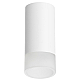 Накладной светильник Lightstar Rullo R43631 (214436+202431)