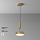 Потолочный светодиодный светильник Maytoni Technical Zon C032CL-24W3K-RD-MG