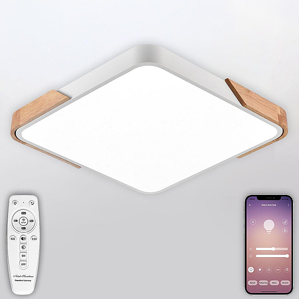 Потолочный светодиодный светильник Natali Kovaltseva LED LAMPS 81410